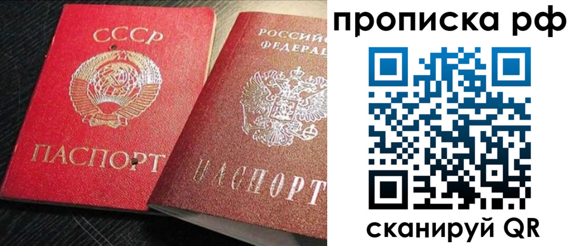 где прописаться в Сольцах